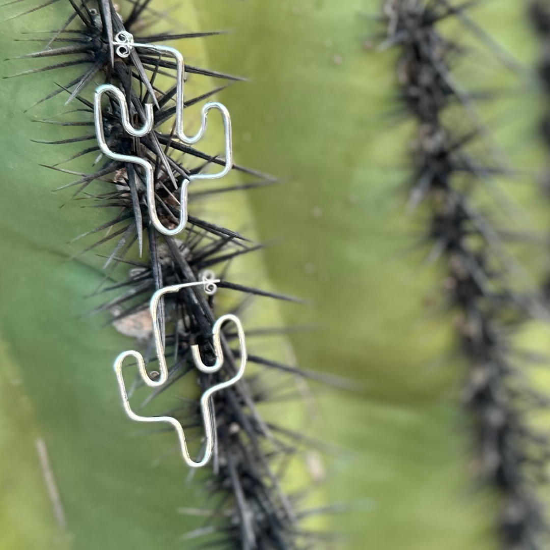 Saguaro Squiggles